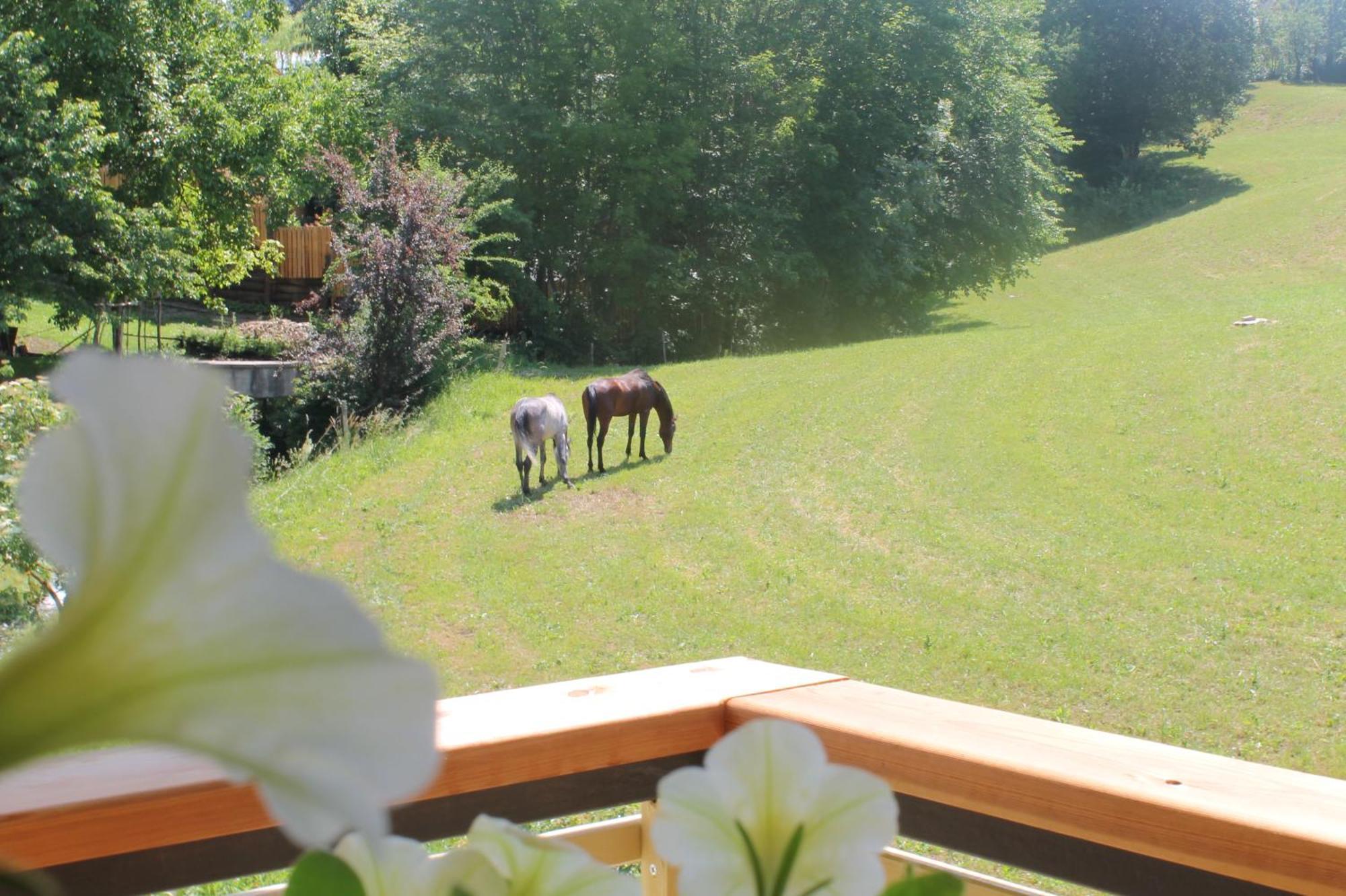 Vila House Gabrijel With Four Seasons Outdoor Kitchen Bled Exteriér fotografie